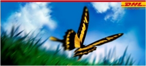 DHL Supply Chain: premio logistico dell’anno 09