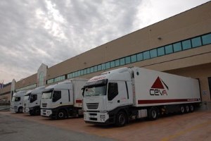 cevacamion