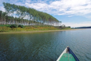 Veneto: “sconti” per le merci via treno o idrovia