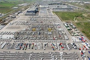 ‘-37% commerciali e industriali