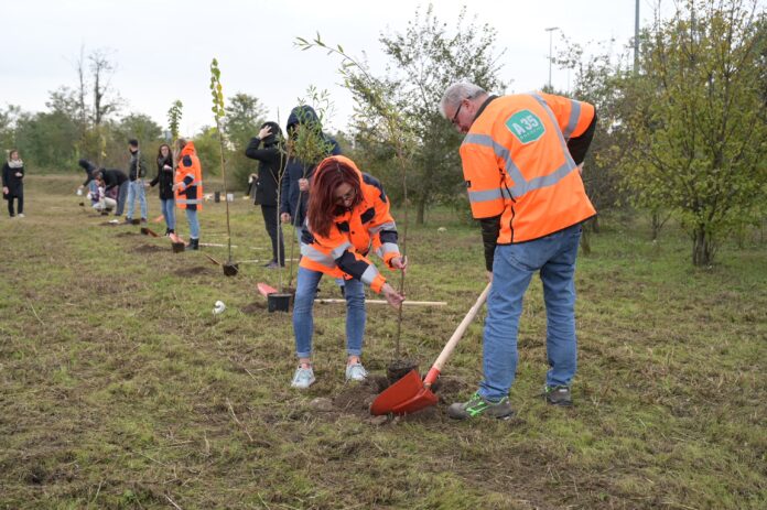 Oasi della Biodiversità sulla A35 Brebemi-Aleatica