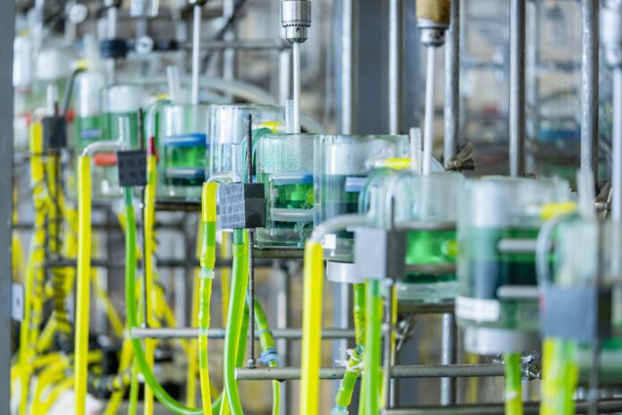 Stellantis e Orano: accordo per il riciclo delle batterie dei veicoli elettrici