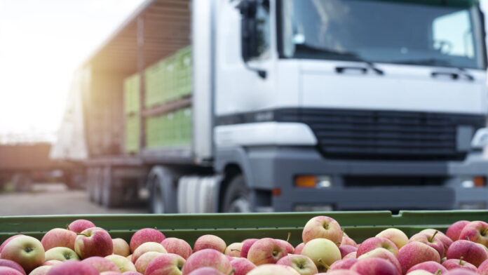 Geotab rinnova la soluzione per il trasporto refrigerato: più controllo, meno sprechi nella catena del freddo