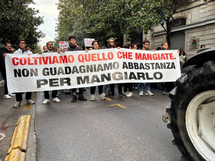 Autotrasporto, Cdm approva misure di sostegno: 60 mln per gli agricoltori